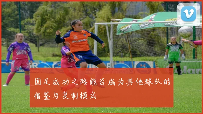 国足成功之路能否成为其他球队的借鉴与复制模式
