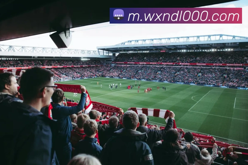 乐鱼体育官网全站App